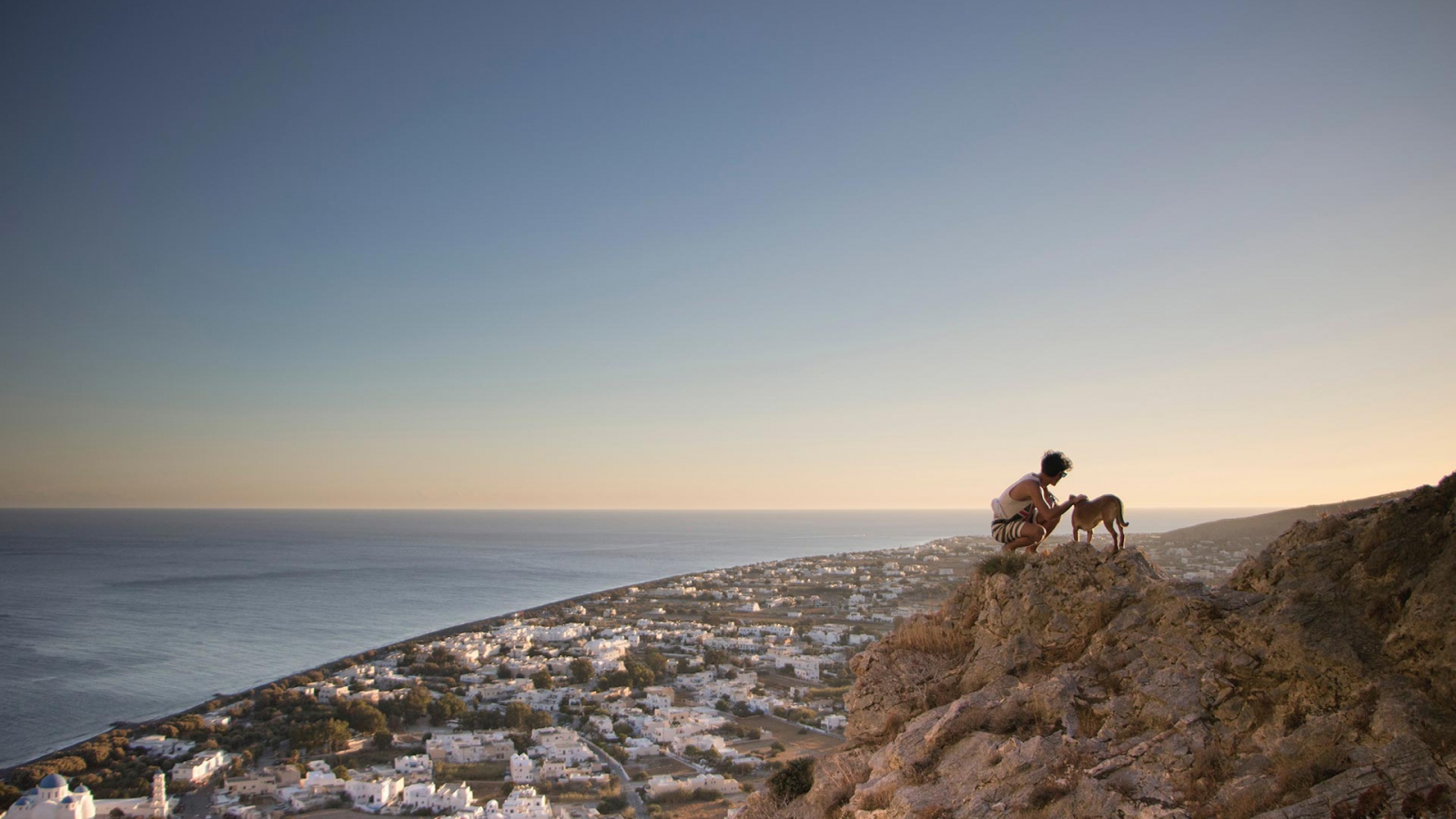 dogs of thira